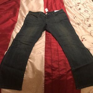 Ann Taylor Loft Jeans